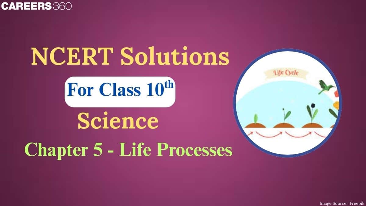 NCERT Solutions for Class 10 Science Chapter 5 Life Processes